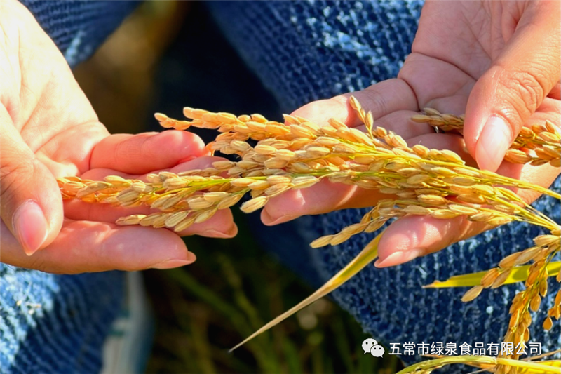 1665967306628539.png 640 (1).png